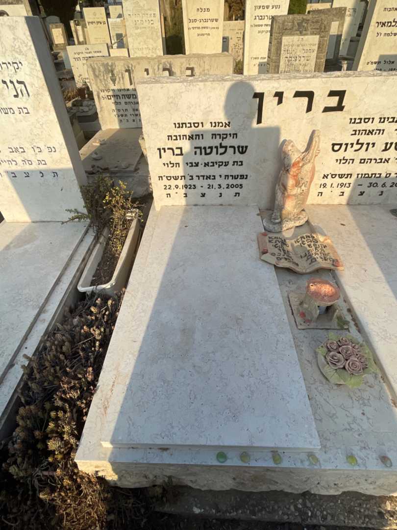 קברו של שרלוטה ברין. תמונה 2