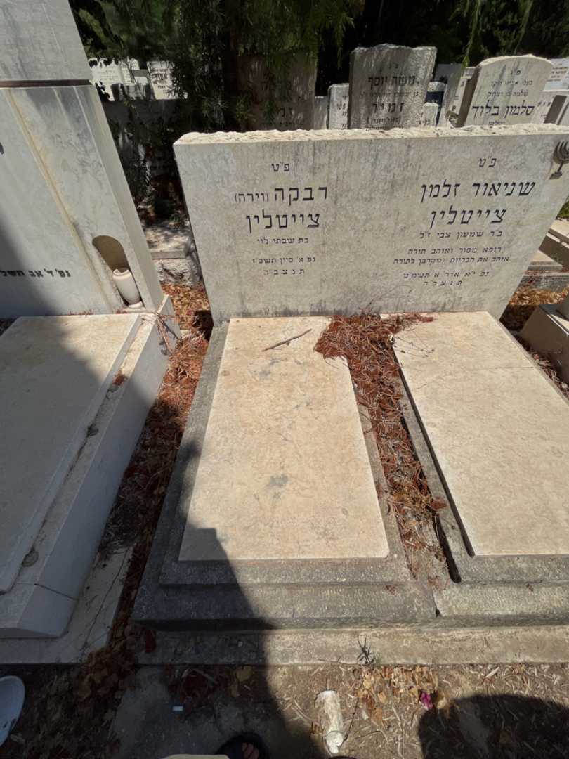 קברו של רבקה "וירה" צייטלין. תמונה 1