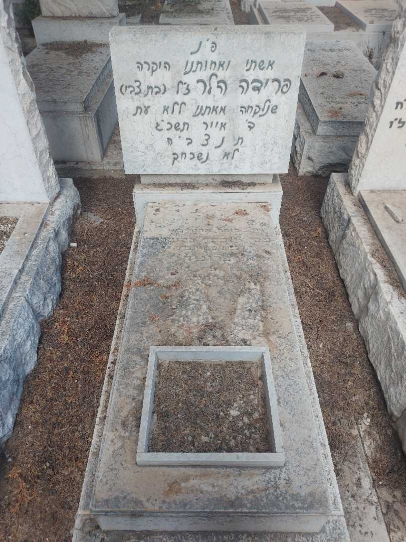 קברו של פרידה הלר