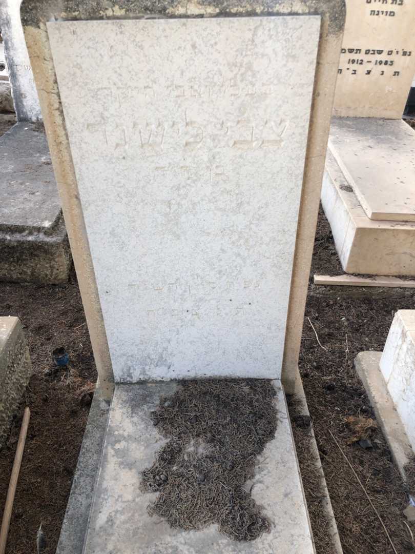 קברו של צבי לישנר. תמונה 2
