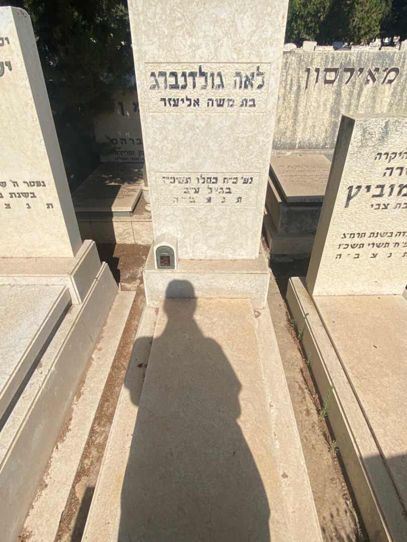 קברו של לאה גולדנברג