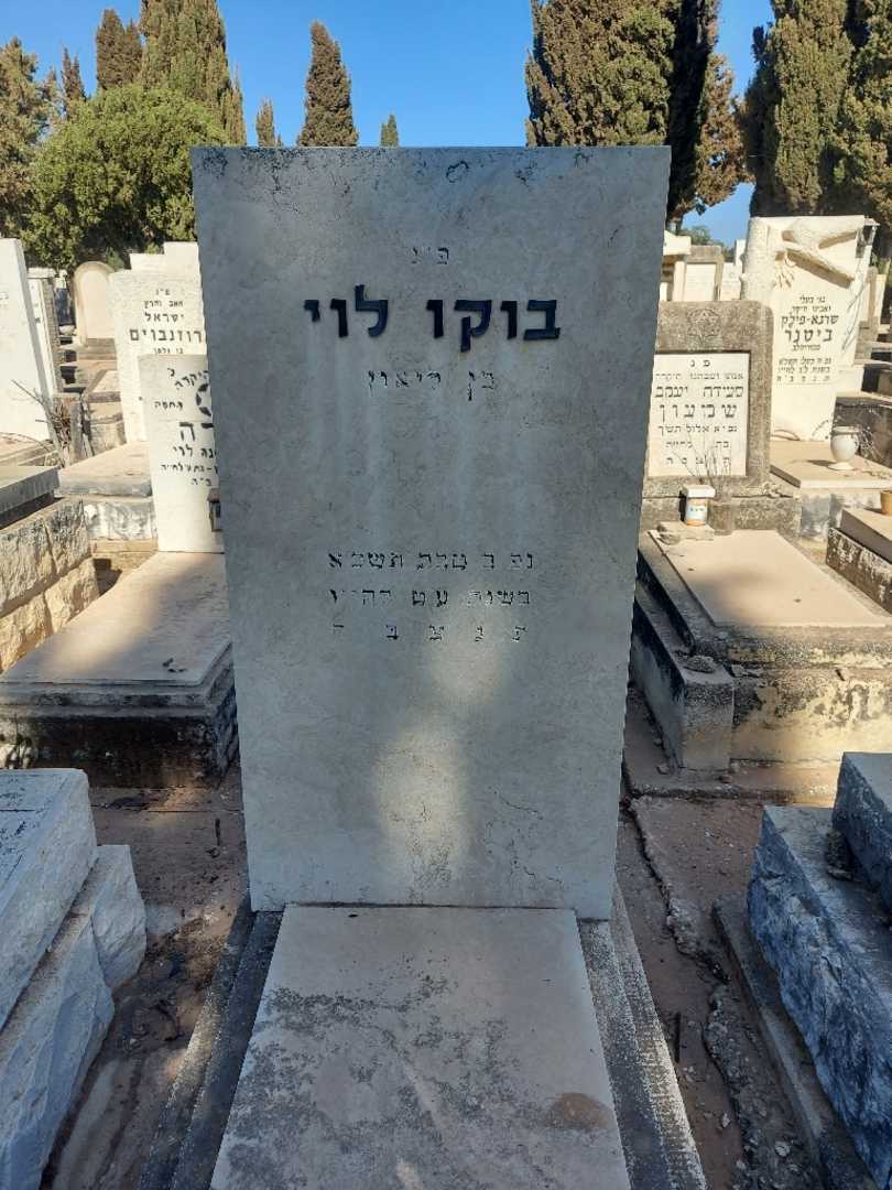 קברו של בוקו לוי