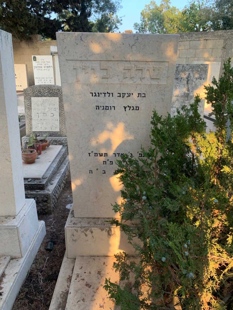 קברו של שרה לוין