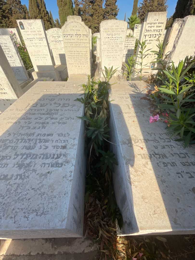 קברו של אליעזר פלישמן. תמונה 1