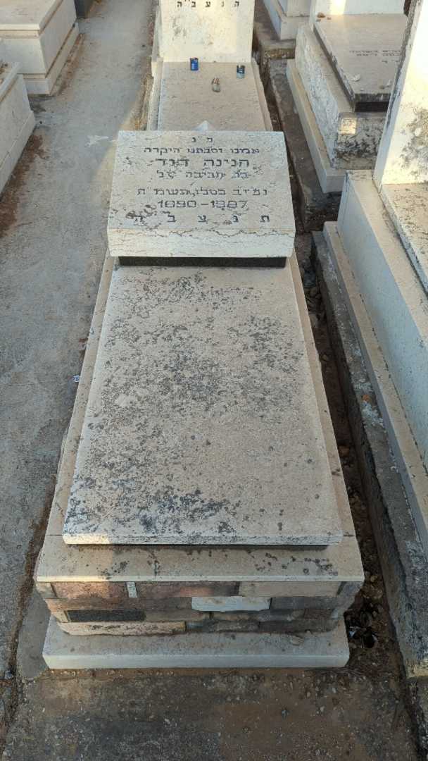 קברו של חנינה דוד