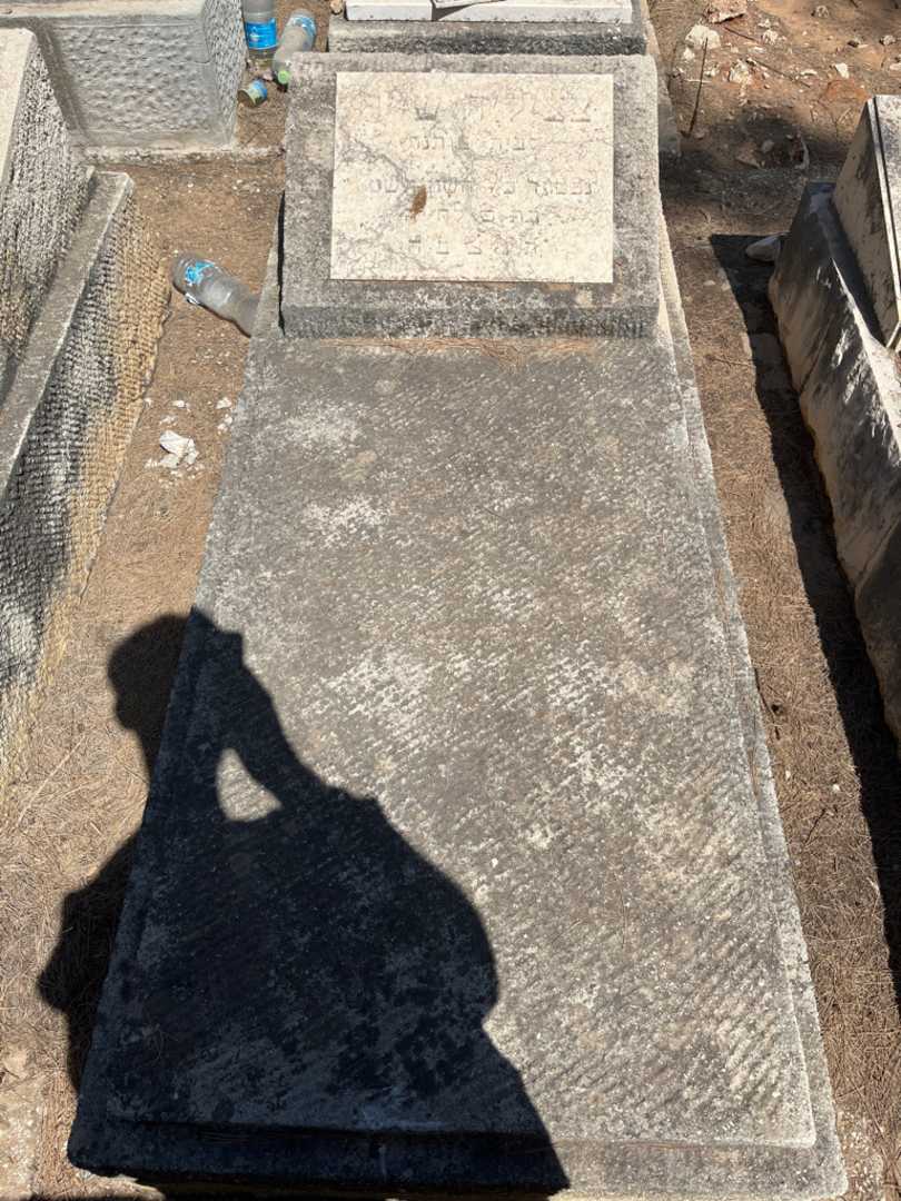 קברו של צציליה שייר