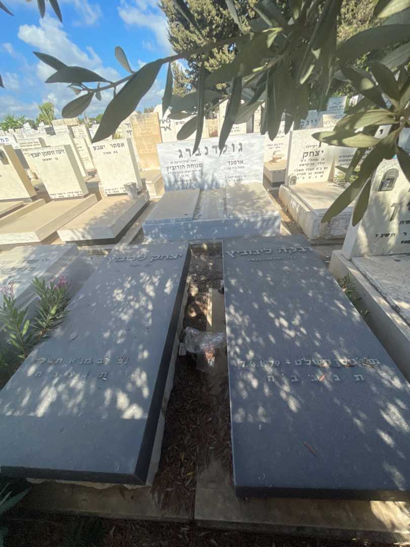 קברו של יצחק ליבוביץ. תמונה 1