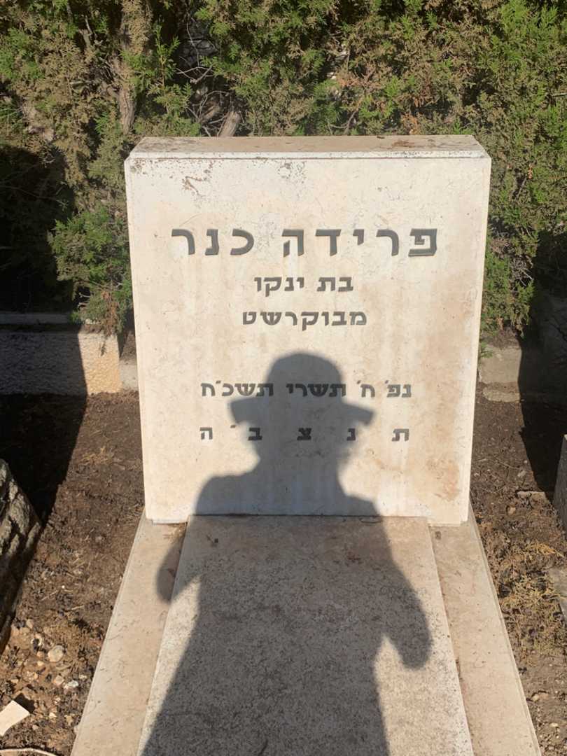 קברו של פרידה כנר