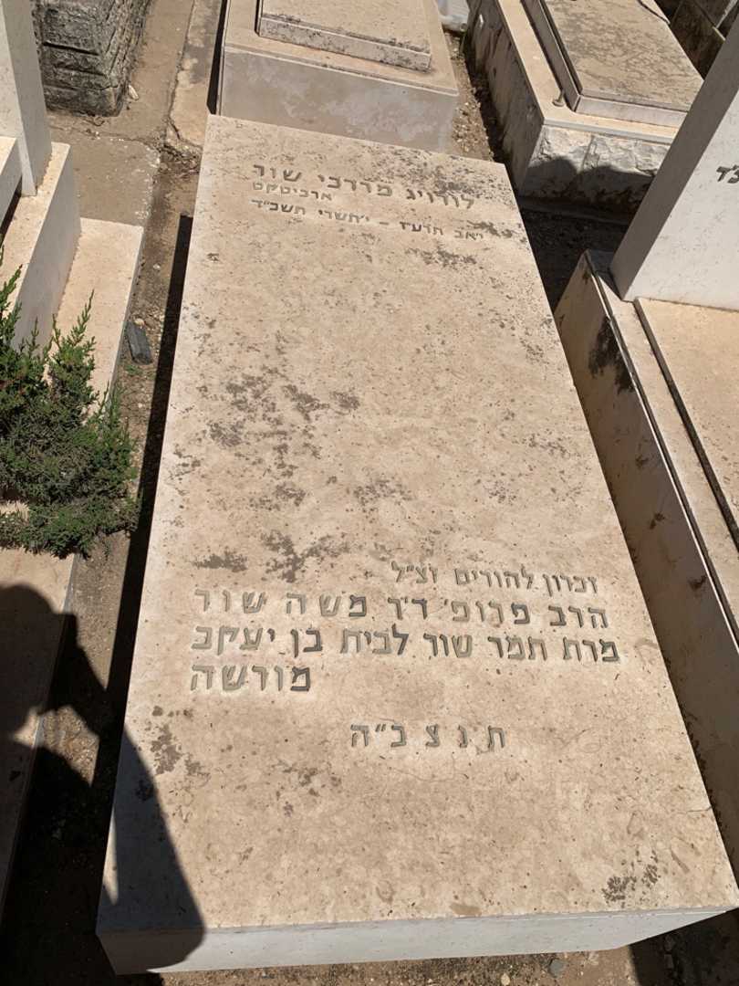קברו של לודויג מרדכי שור