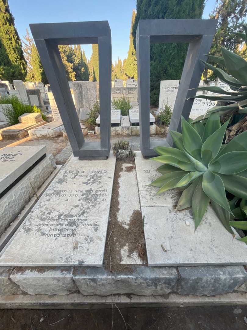 קברו של מאיר שפירו. תמונה 1