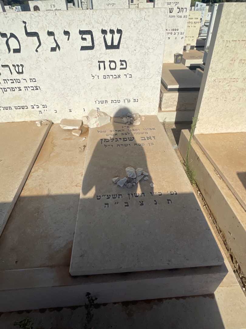 קברו של פסח שפיגלמן. תמונה 2