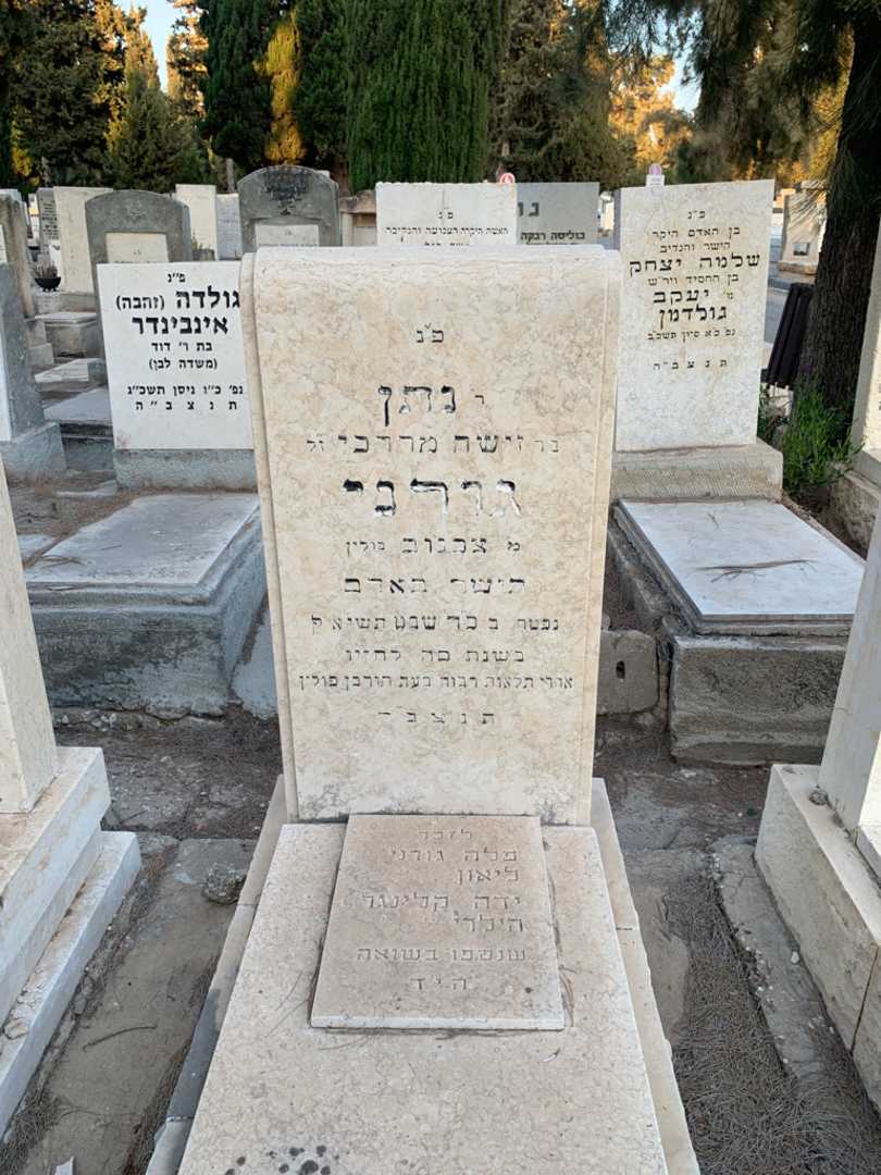 קברו של ידה קלינגר הילרי