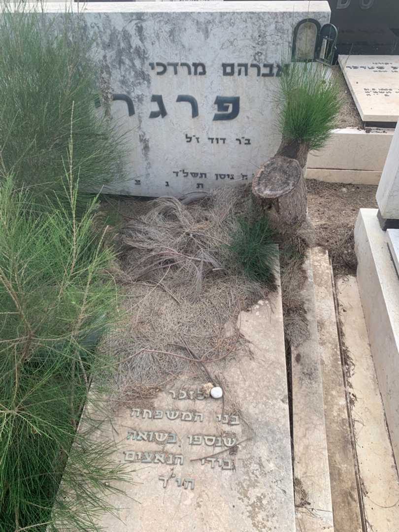 קברו של אברהם מרדכי פרגרי. תמונה 1