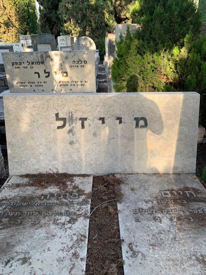 קברו של חיים מייזל. תמונה 1