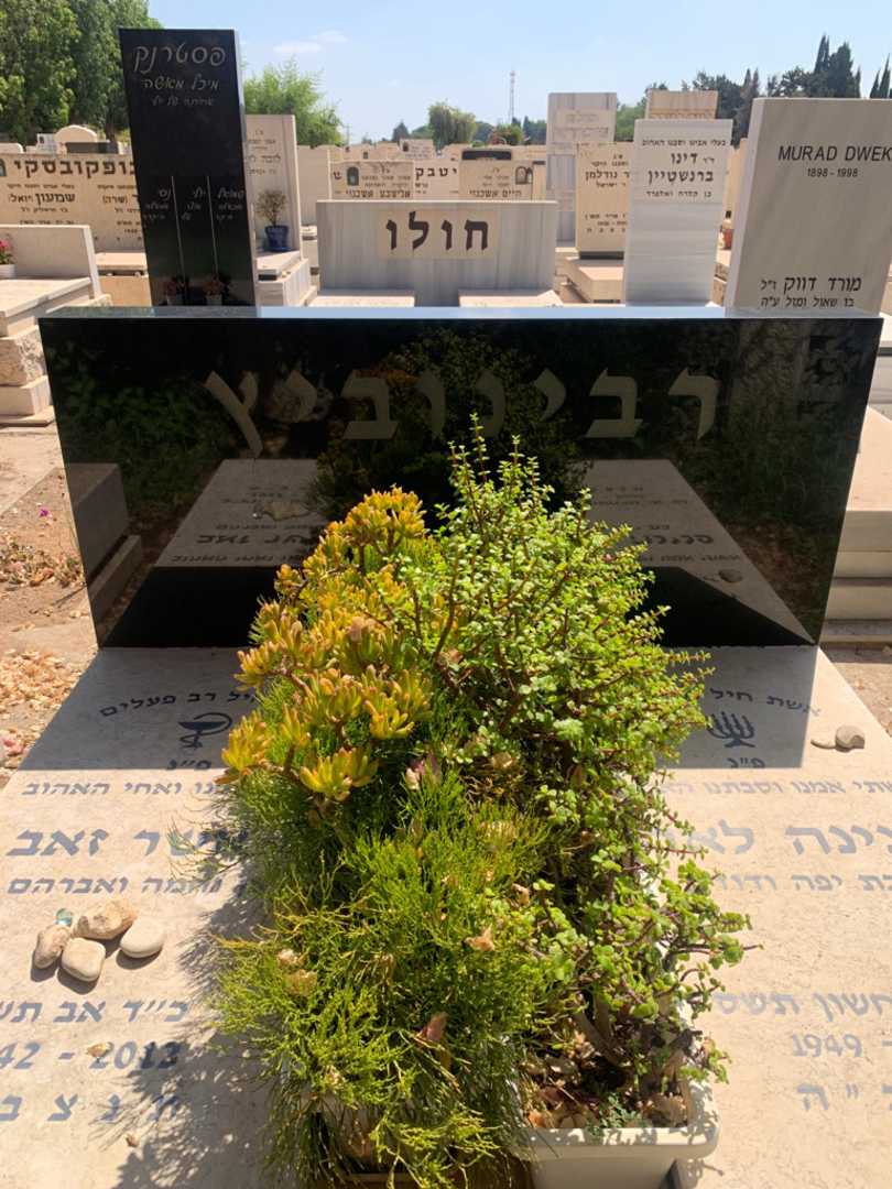 קברו של אשר זאב רבינוביץ. תמונה 1