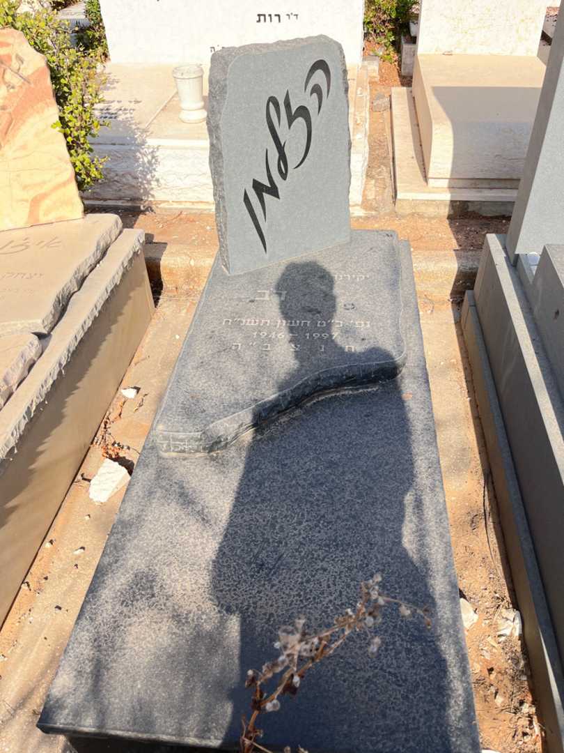 קברו של דב הזלמן