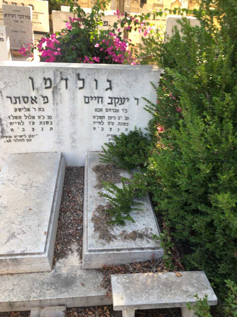 קברו של יעקב חיים גולדמן. תמונה 1