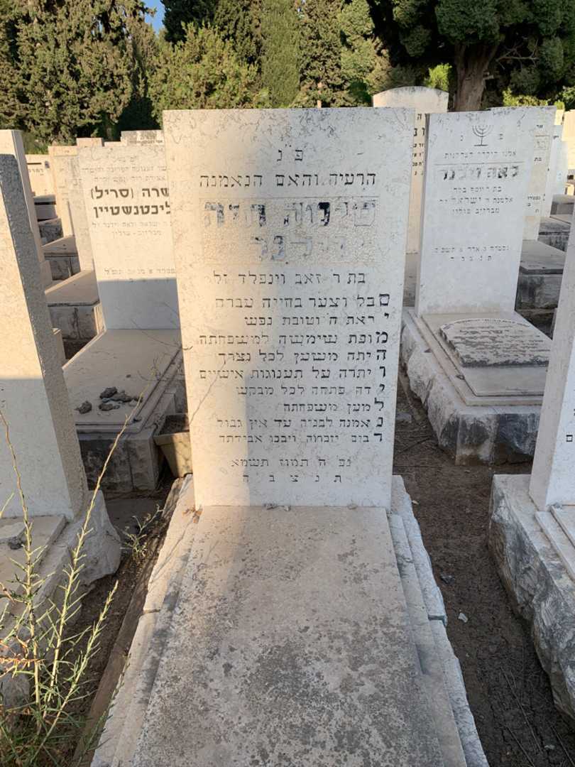 קברו של סימה חיה וילנר