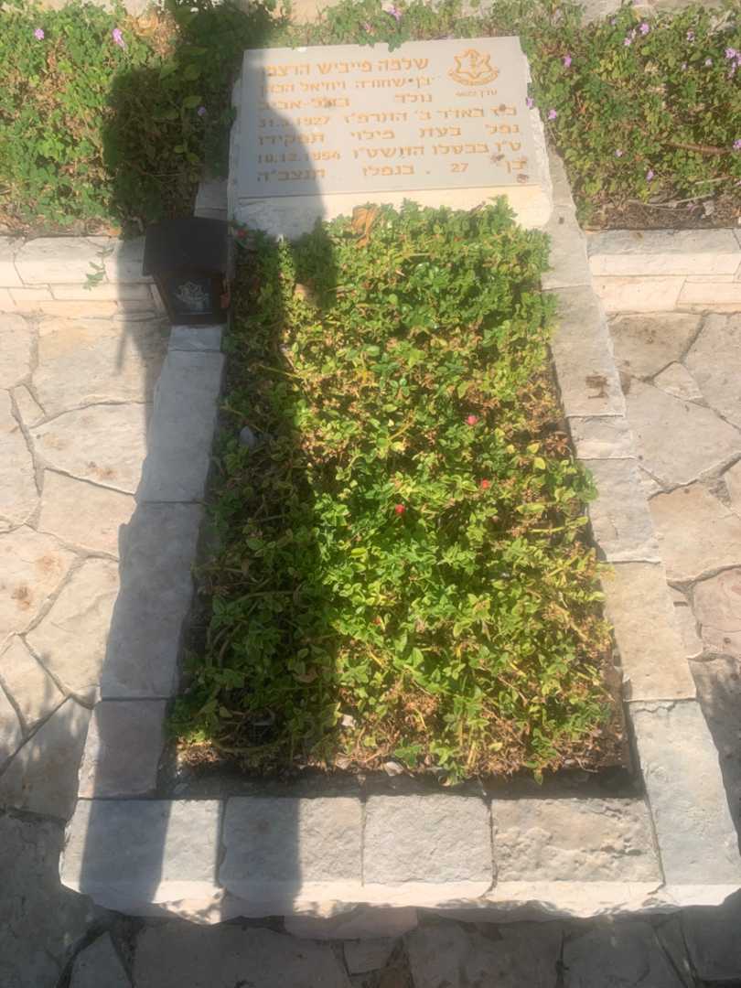קברו של שלמה פייביש הרצמן