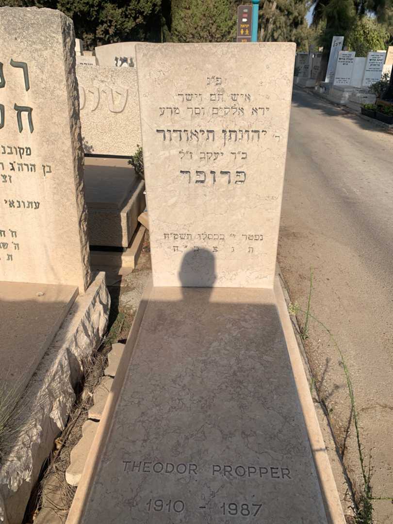 קברו של יהונתן תיאודור פרופר
