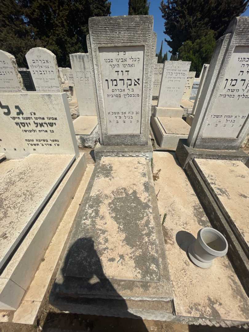 קברו של דוד אקרמן. תמונה 2