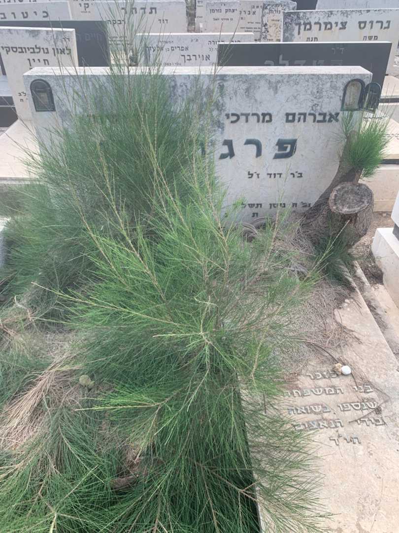 קברו של אברהם מרדכי פרגרי. תמונה 2