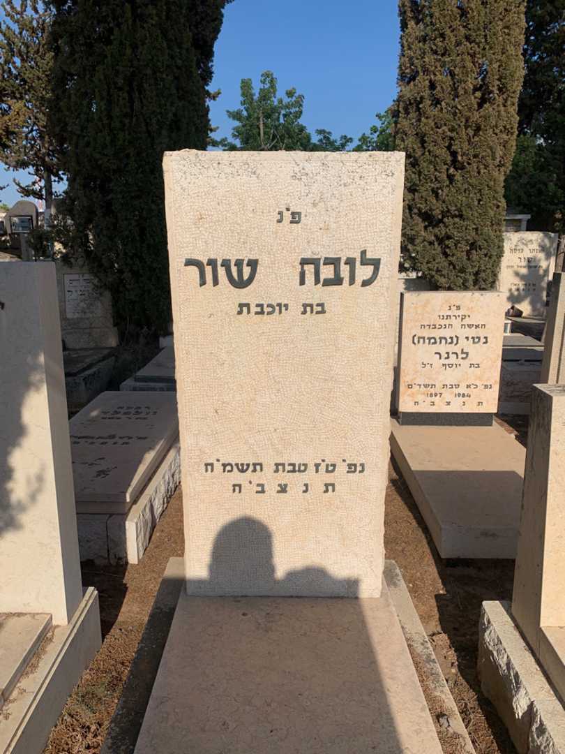 קברו של לובה שור