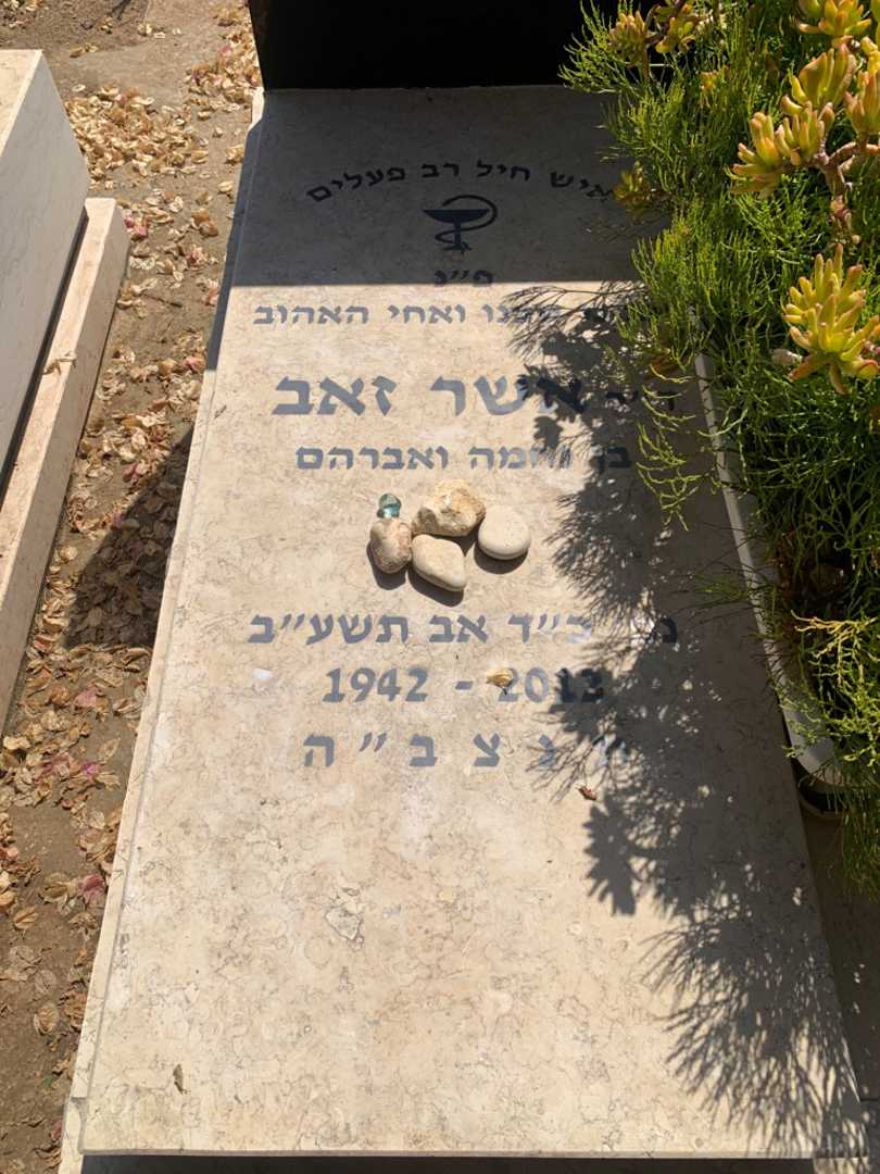 קברו של אשר זאב רבינוביץ. תמונה 2