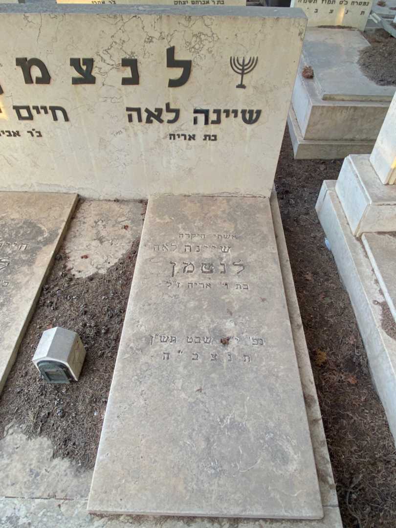 קברו של שיינה לאה לנצמן. תמונה 1