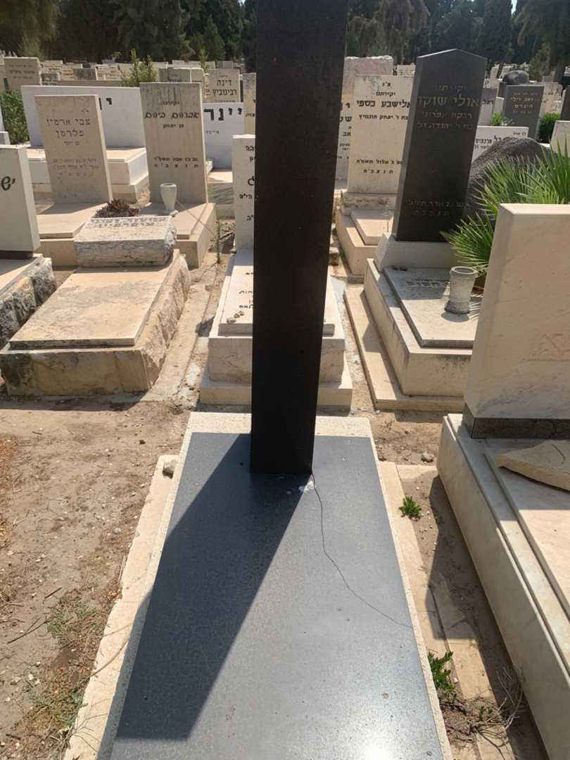 קברו של נח טוניק. תמונה 1