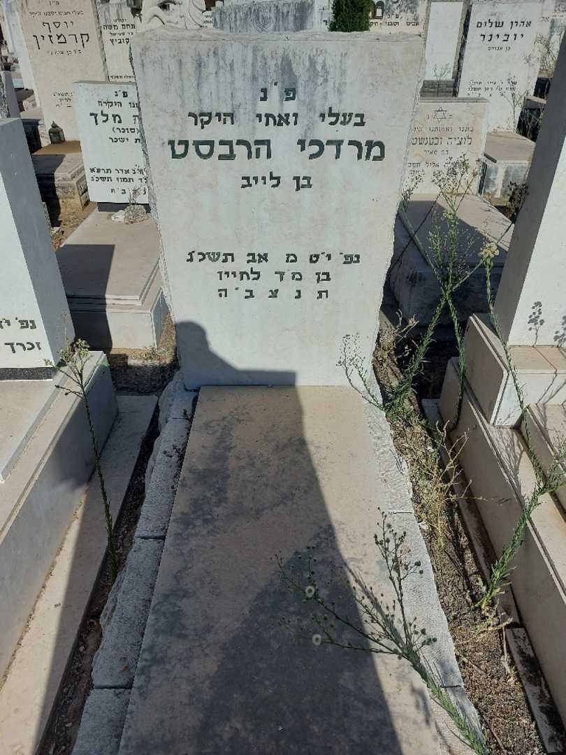 קברו של מרדכי הרבסט