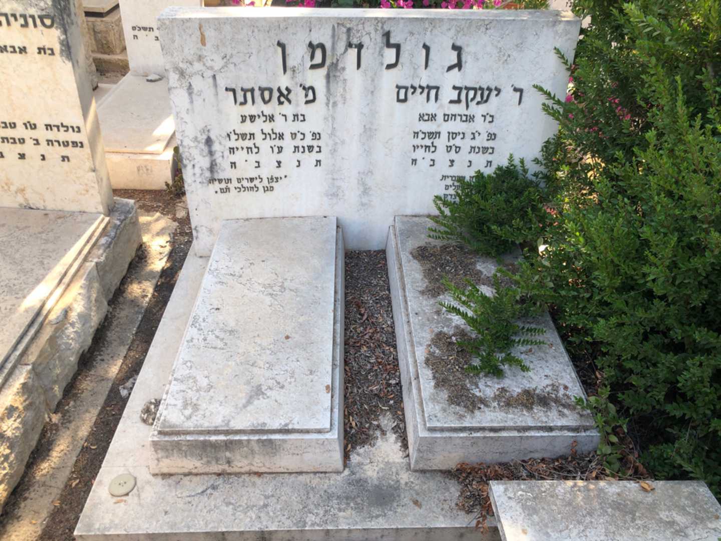 קברו של יעקב חיים גולדמן. תמונה 2