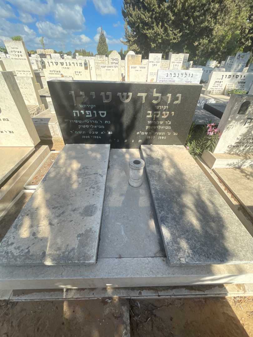 קברו של סופיה גולדשטיין. תמונה 1