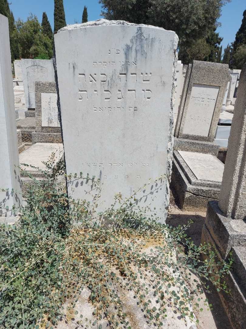 קברו של שרה לאה מרגלית