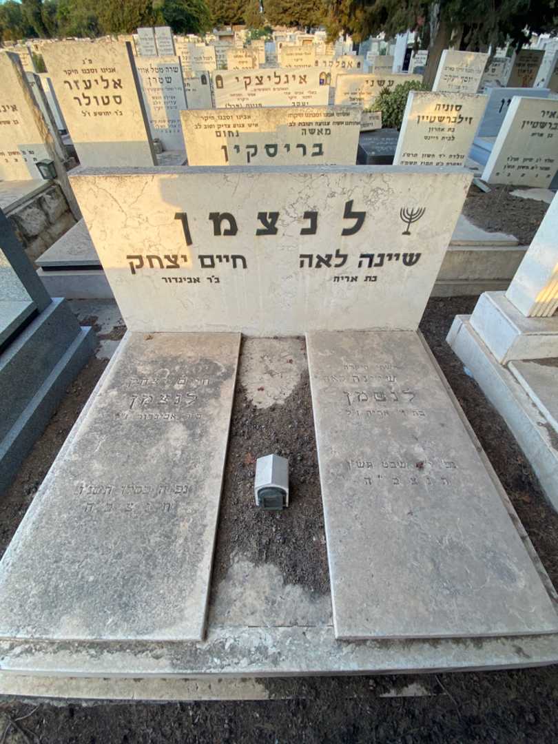 קברו של שיינה לאה לנצמן. תמונה 2