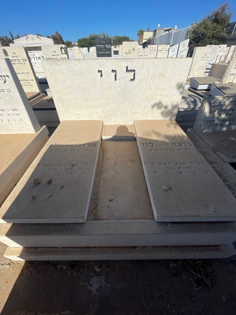 קברו של חנה לוי-גולדבר. תמונה 1