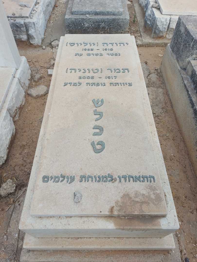 קברו של תמר "טוניה" שלכט