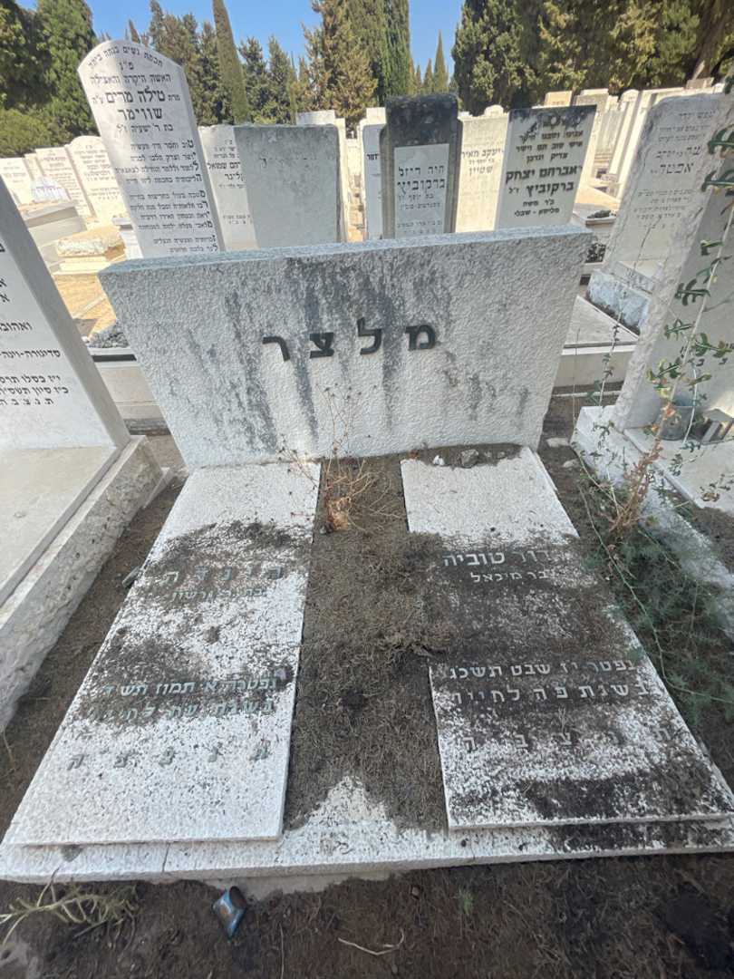 קברו של דוד טוביה מלצר. תמונה 1