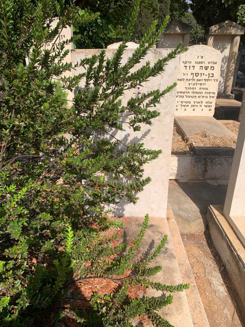 קברו של זלמן לנדאר. תמונה 1