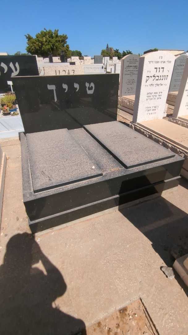 קברו של איסר טייך. תמונה 1