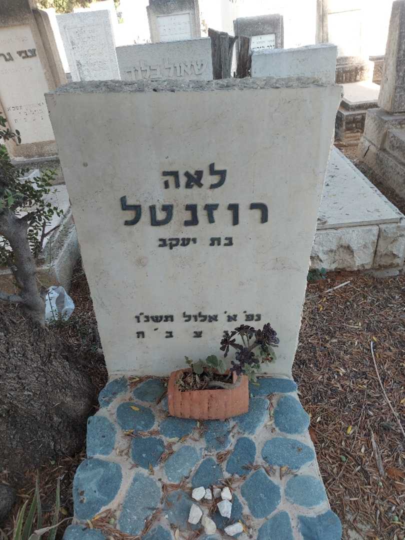 קברו של לאה רוזנטל