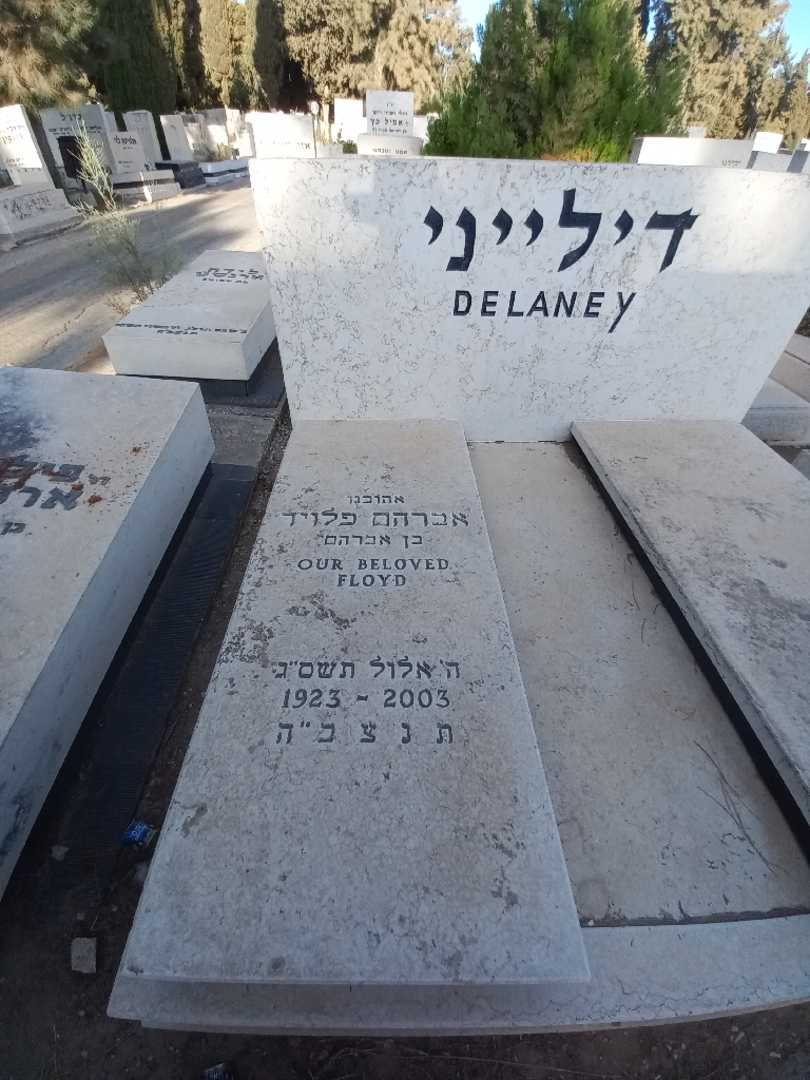 קברו של אברהם פלויד דילייני. תמונה 1