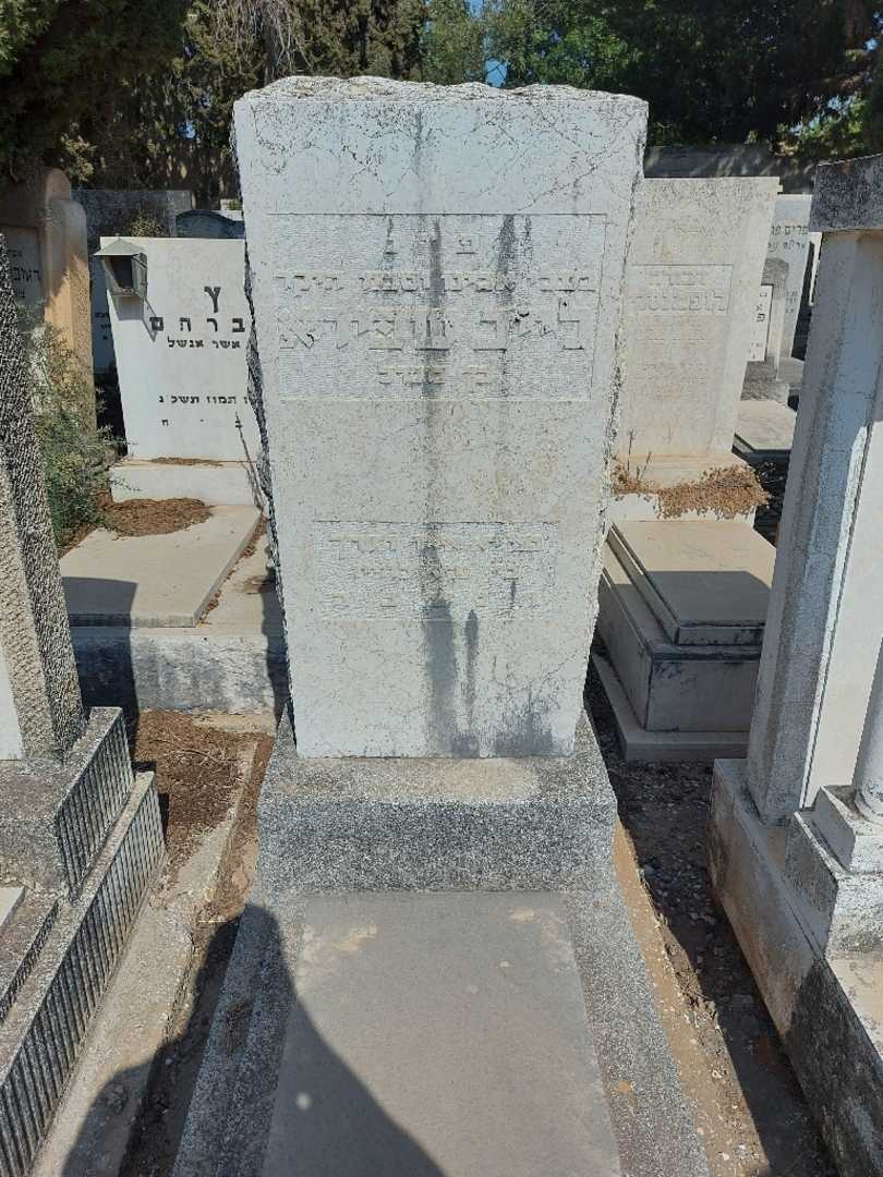 קברו של לייב שפירא