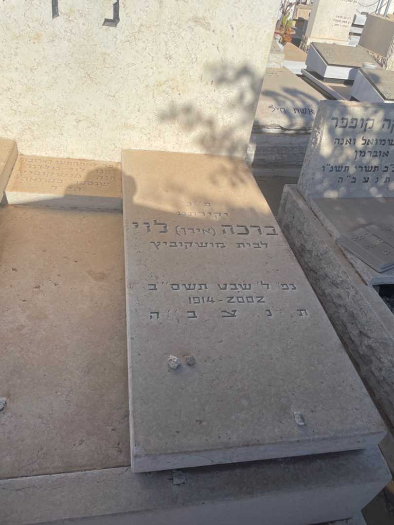 קברו של חנה לוי-גולדבר. תמונה 2