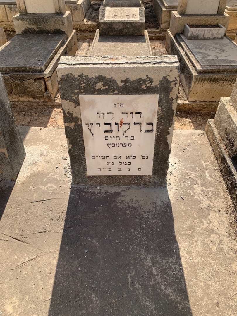קברו של דוד רזו ברקוביץ