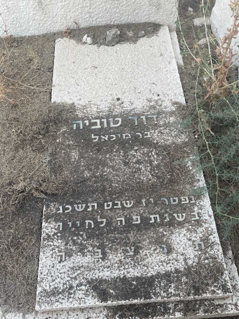 קברו של דוד טוביה מלצר. תמונה 2