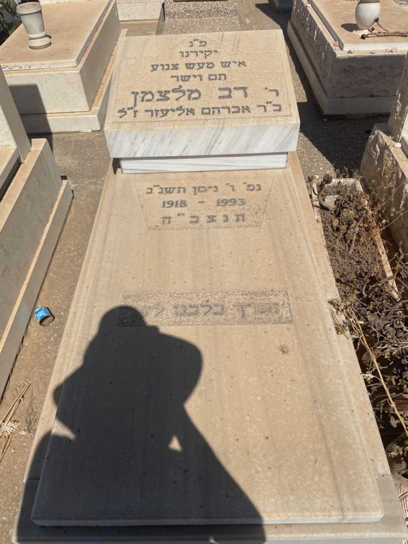 קברו של דב מלצמן