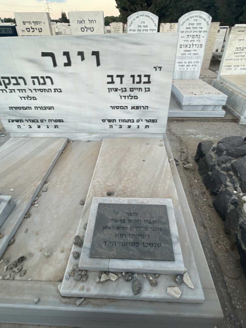 קברו של בנו דב וינר. תמונה 2