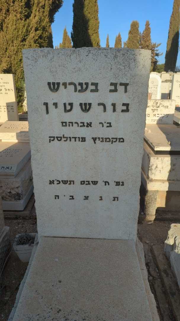 קברו של דב בעריש בורשטין