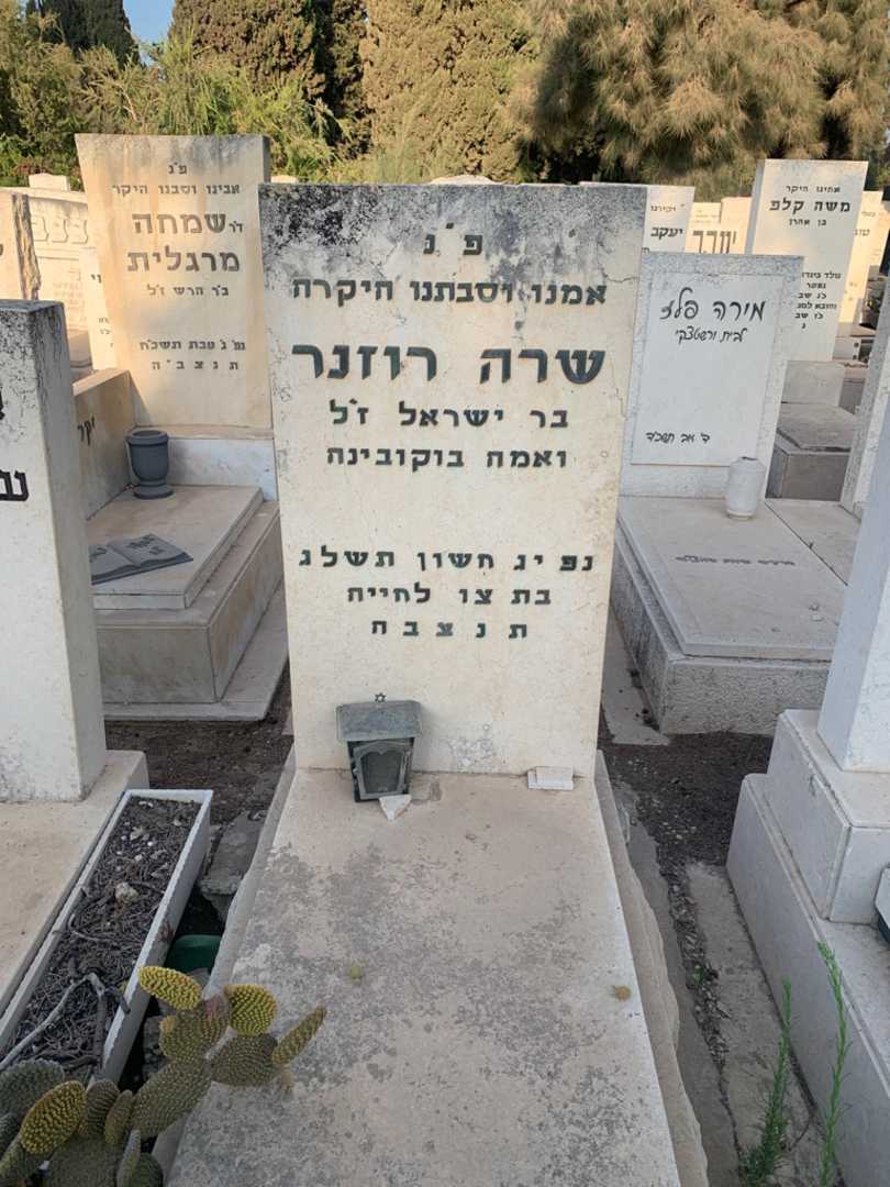 קברו של שרה רוזנר